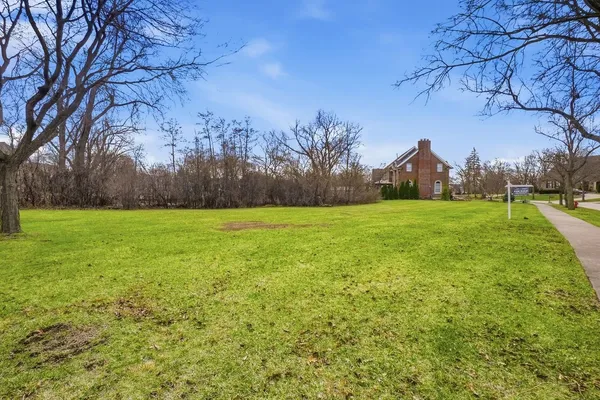 a view of a grassy field with trees in the background