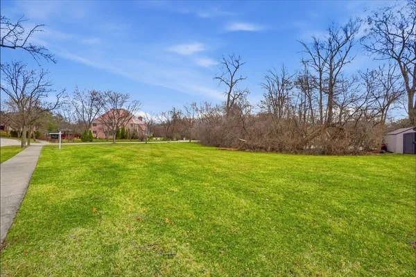 a view of grassy field with trees