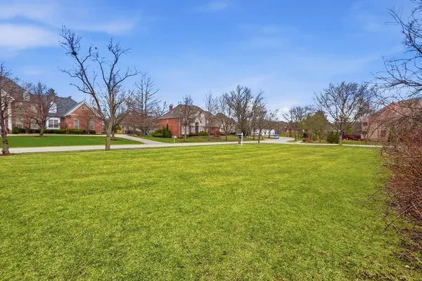 a backyard with large trees