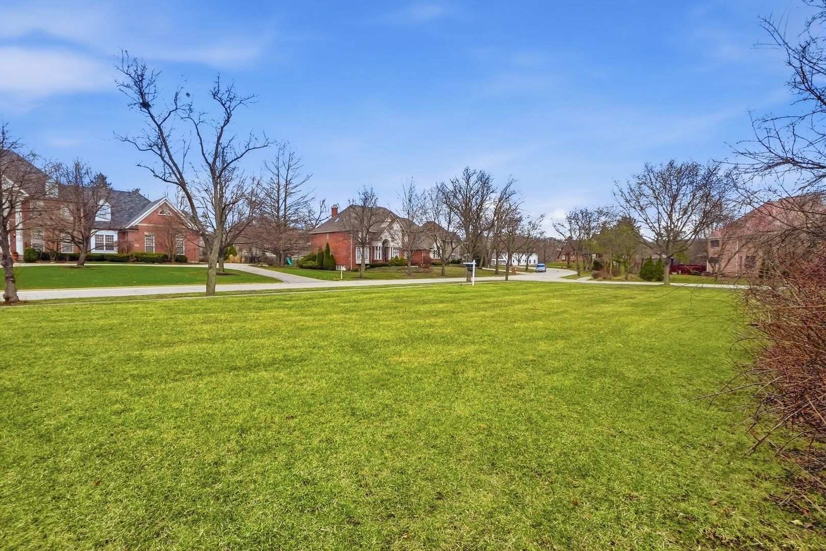 9045 Turnberry Drive Burr Ridge, IL 60527 - Photo 4 of 14 a backyard with large trees