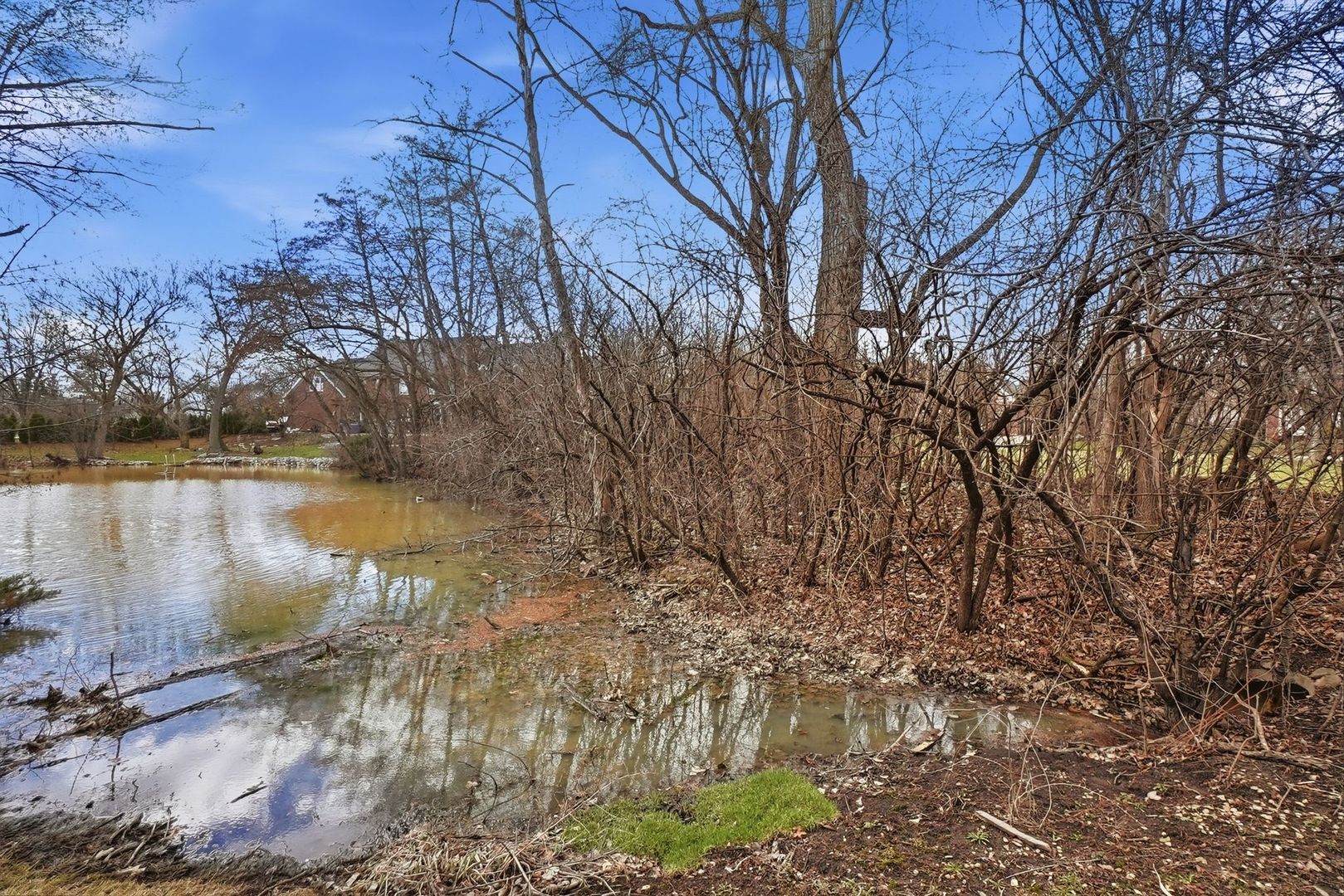 9045 Turnberry Drive Burr Ridge, IL 60527 - Photo 6 of 14 a view of lake with green space
