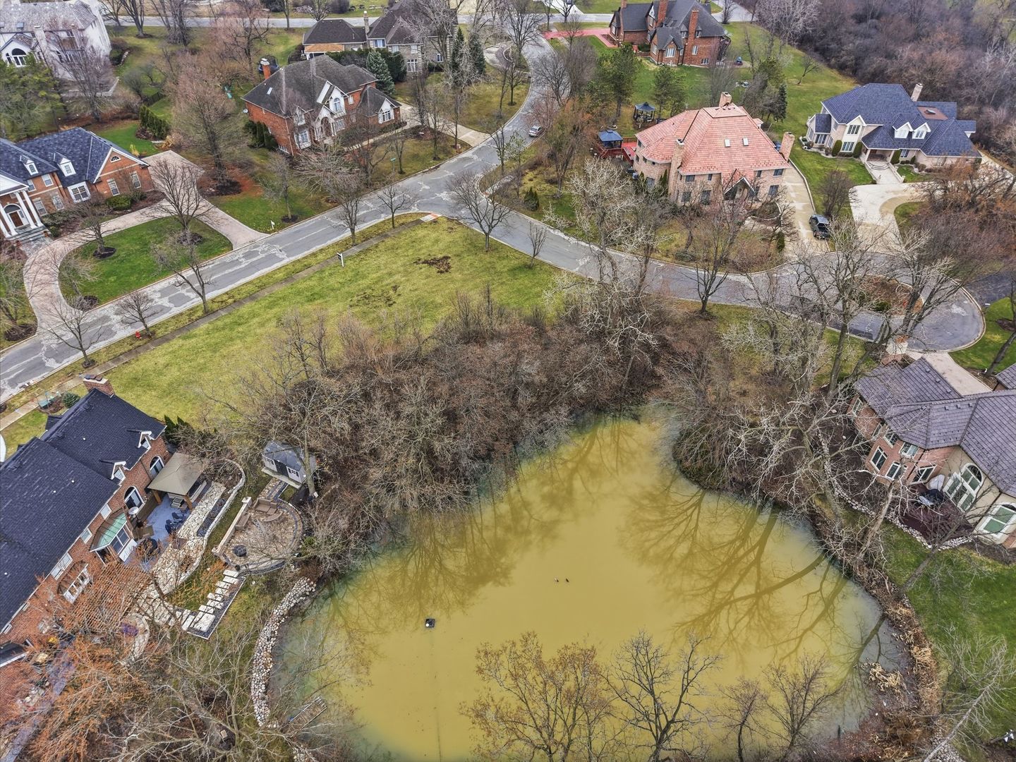 9045 Turnberry Drive Burr Ridge, IL 60527 - Photo 10 of 14 a view of swimming pool