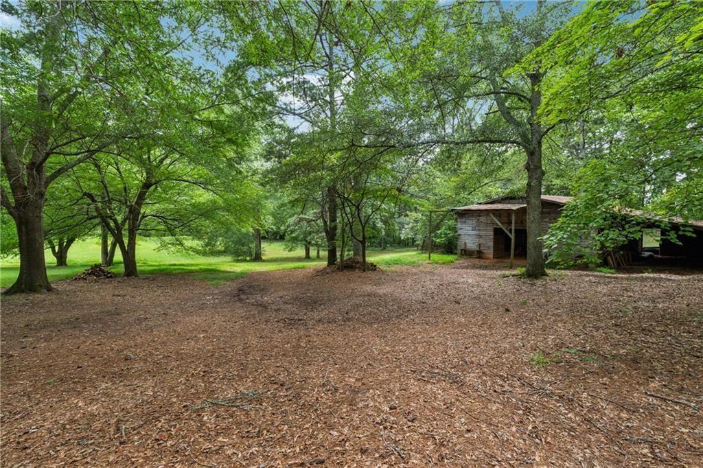 8265 Seabolt Drive Ball Ground, GA 30107 - Photo 11 of 52 a view of a house with large trees