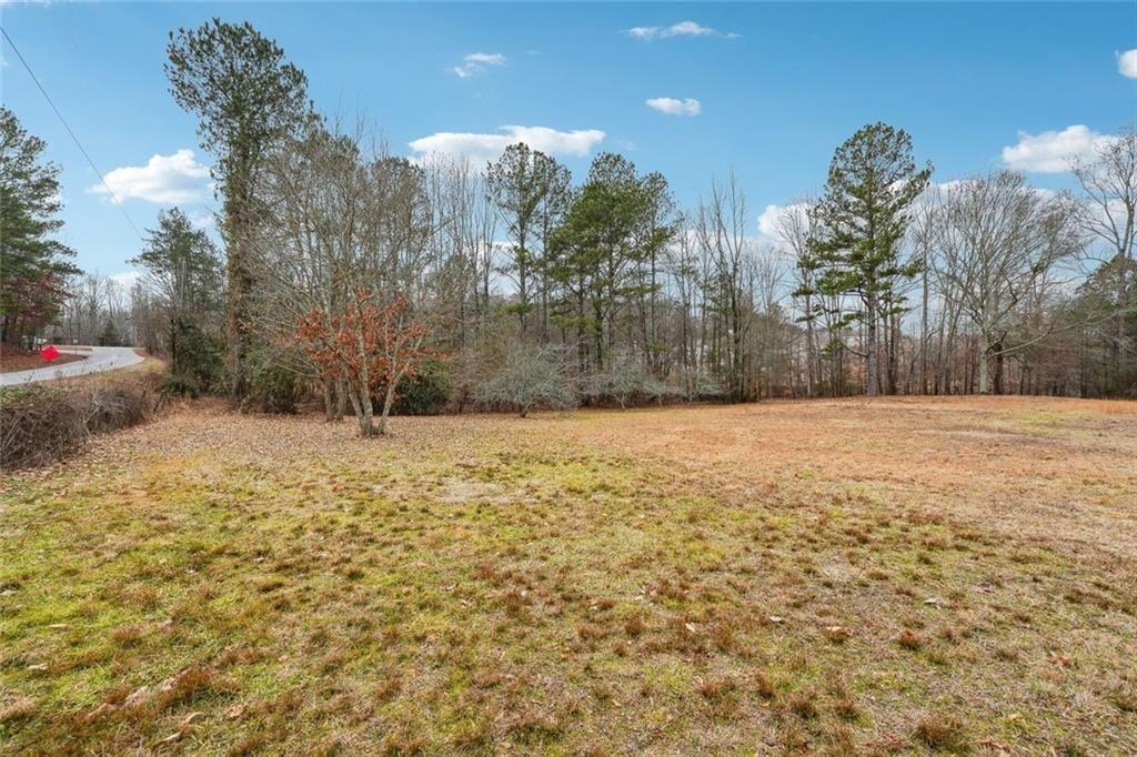 8265 Seabolt Drive Ball Ground, GA 30107 - Photo 14 of 52 a view of a yard with trees