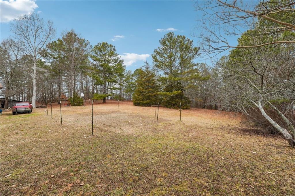 8265 Seabolt Drive Ball Ground, GA 30107 - Photo 17 of 52 a view of a yard with a tree