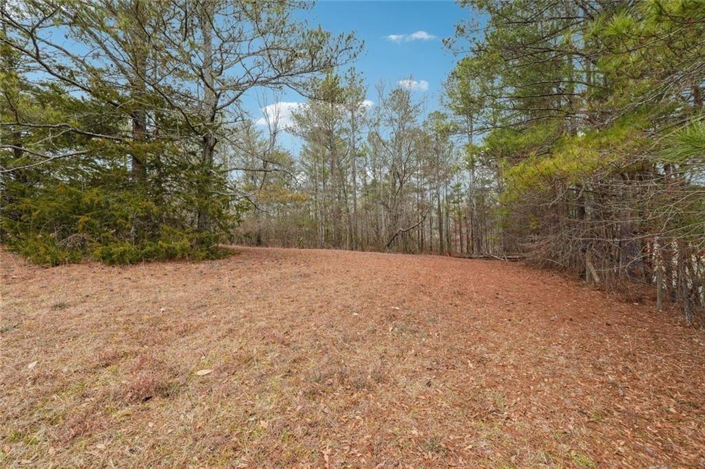 8265 Seabolt Drive Ball Ground, GA 30107 - Photo 18 of 52 a view of empty room with trees