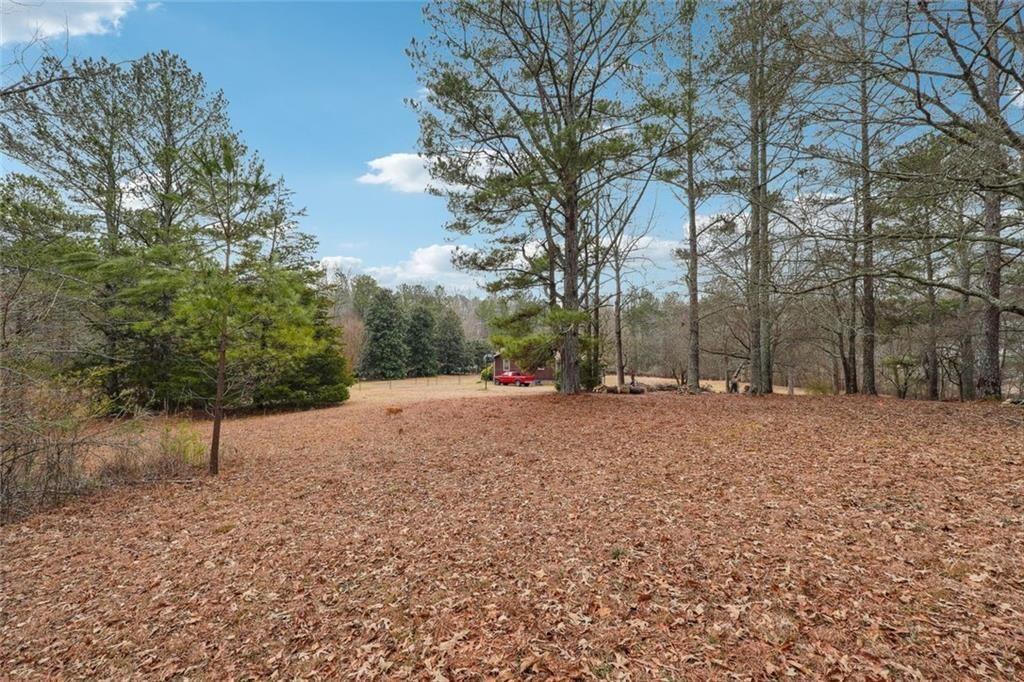8265 Seabolt Drive Ball Ground, GA 30107 - Photo 21 of 52 a view of a backyard with large trees