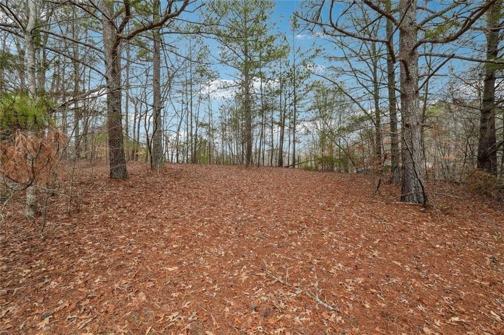 8265 Seabolt Drive Ball Ground, GA 30107 - Photo 22 of 52 a view of a yard with trees