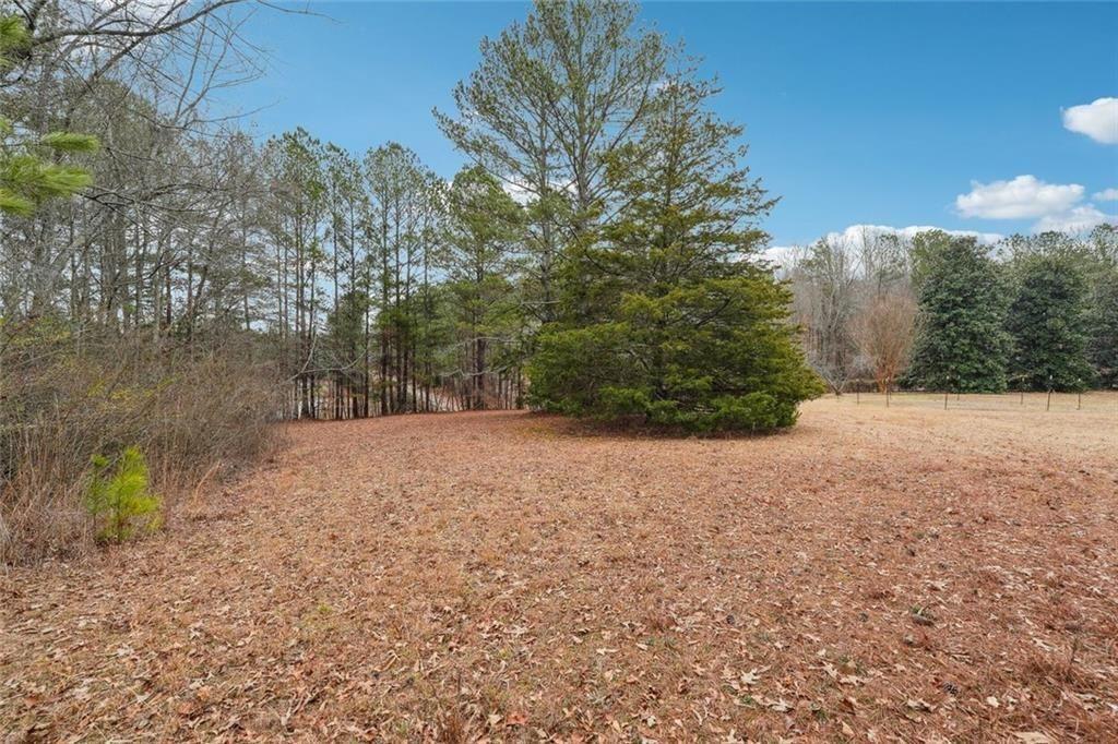 8265 Seabolt Drive Ball Ground, GA 30107 - Photo 23 of 52
