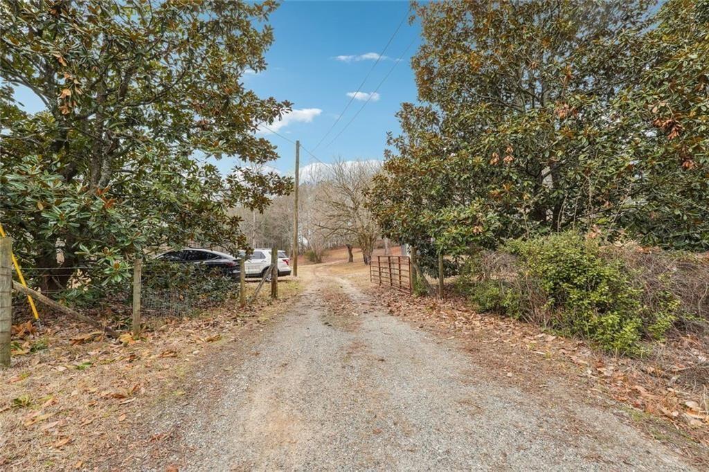 8265 Seabolt Drive Ball Ground, GA 30107 - Photo 28 of 52 a view of a yard with a tree