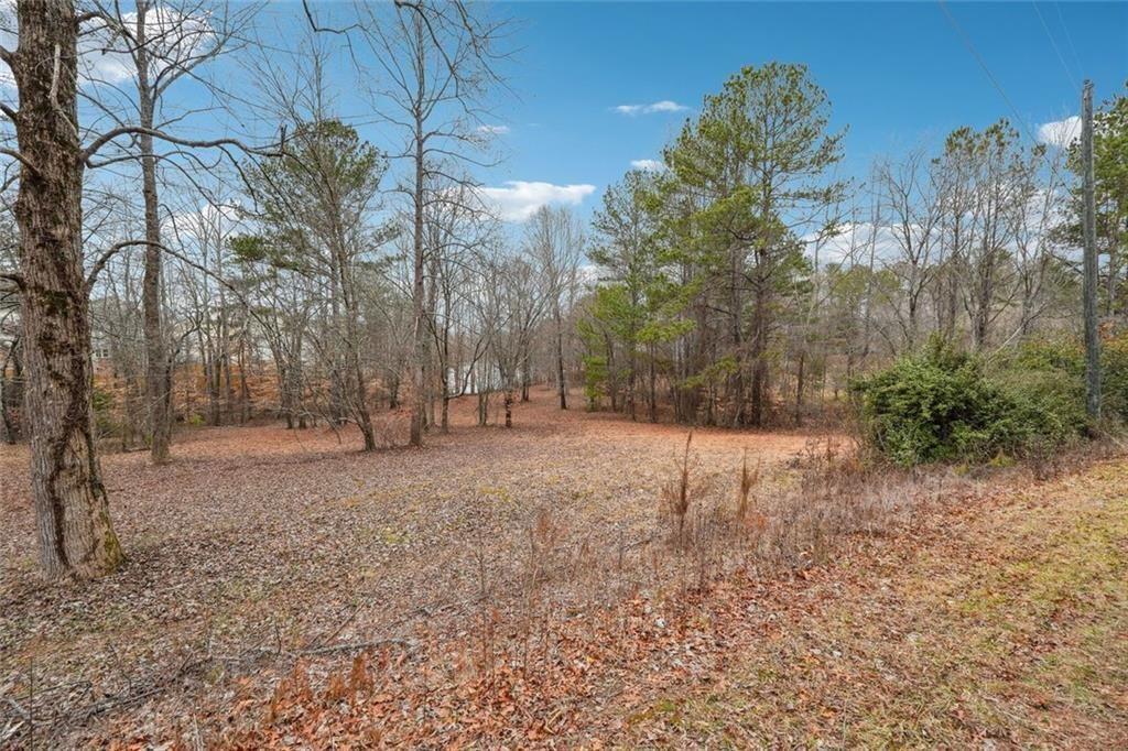 8265 Seabolt Drive Ball Ground, GA 30107 - Photo 29 of 52 a view of a forest with trees
