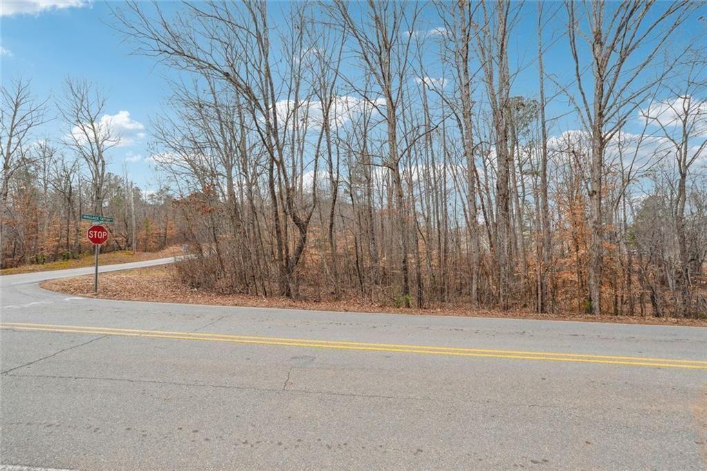 8265 Seabolt Drive Ball Ground, GA 30107 - Photo 32 of 52