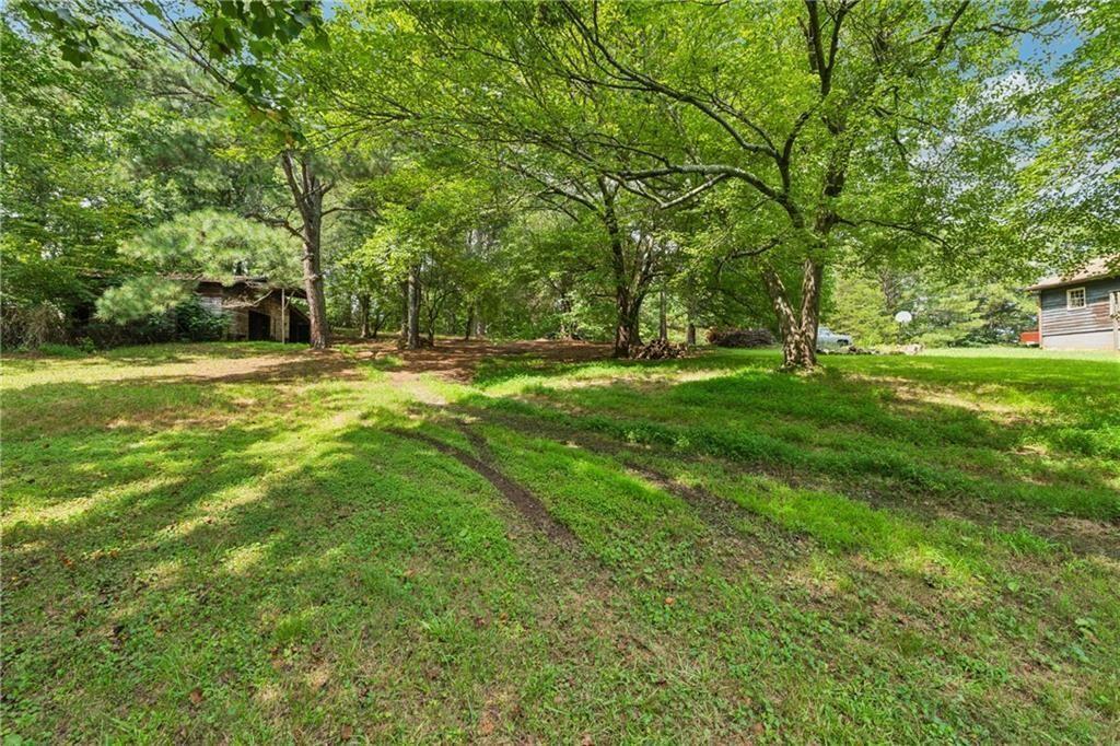 8265 Seabolt Drive Ball Ground, GA 30107 - Photo 5 of 52 a view of a trees with a big yard