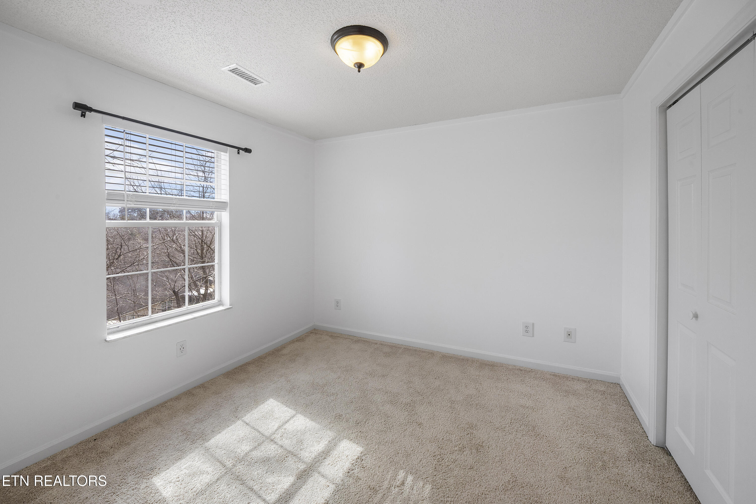 5836 Windtree Lane Knoxville, TN 37921 - Photo 30 of 35 L40A0198