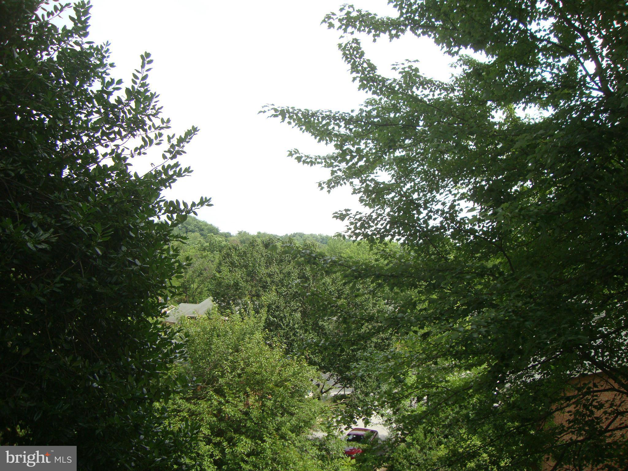 102 Cross Keys Road, Unit R102D Baltimore, MD 21210 - Photo 22 of 28 a view of a yard with plants and large trees