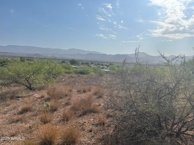 a view of a dry yard with trees