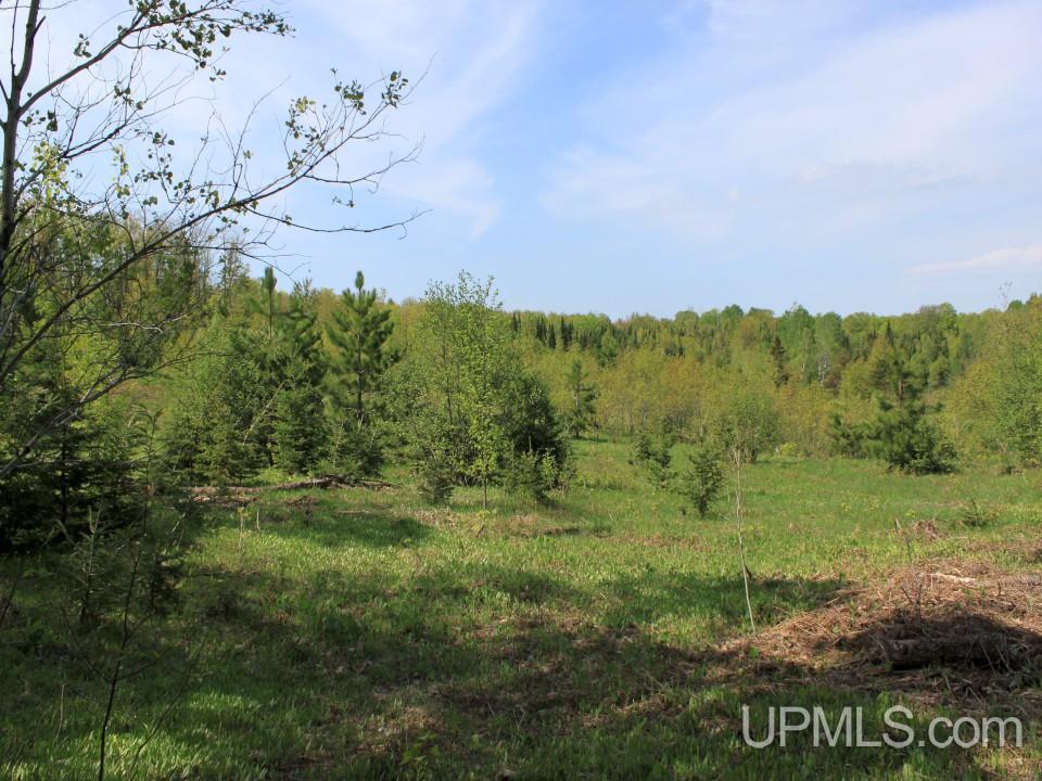 Tbd Emily Lake Road Toivola, MI 49965 - Photo 4 of 36 Gallery Image 4