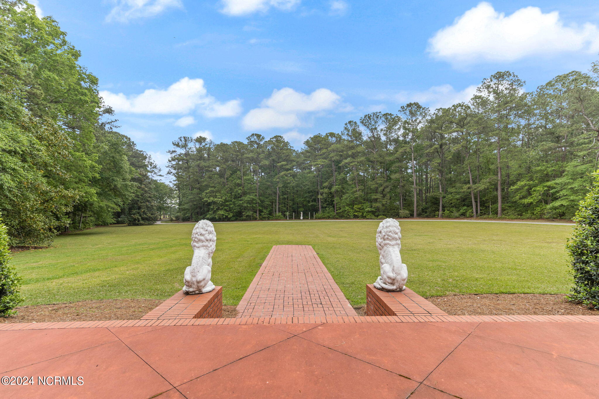 1096 Martin Gourd Road Clarkton, NC 28433 - Photo 53 of 55 From Front Door
