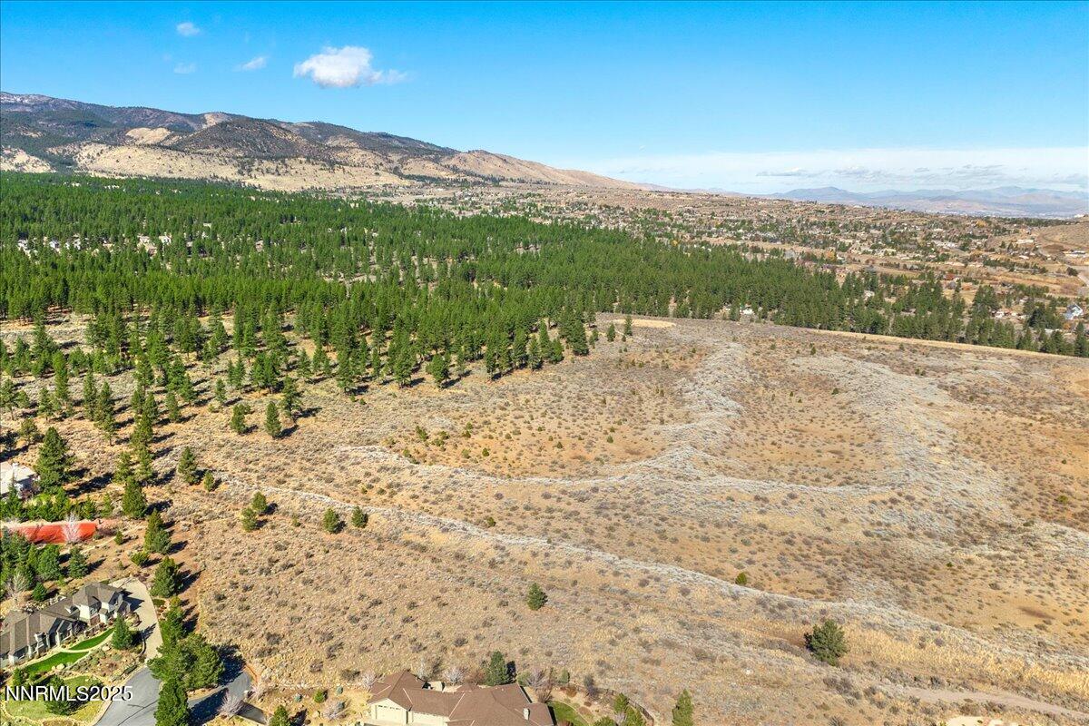 206 Paddington Court Reno, NV 89511 - Photo 5 of 21 a view of a yard with an ocean