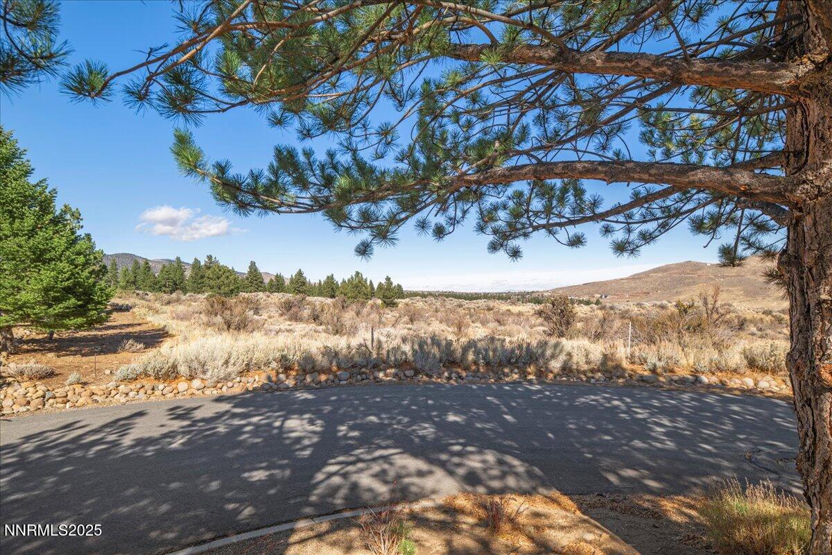 206 Paddington Court Reno, NV 89511 - Photo 8 of 21 a view of a yard