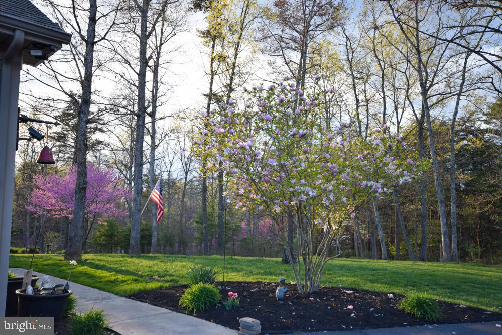 2481 Hunting Ridge Road Winchester, VA 22603 - Photo 3 of 48