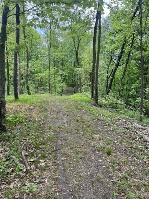 Parcel A West County Line Road Greenville, MI 48838 - Photo 3 of 14 P2