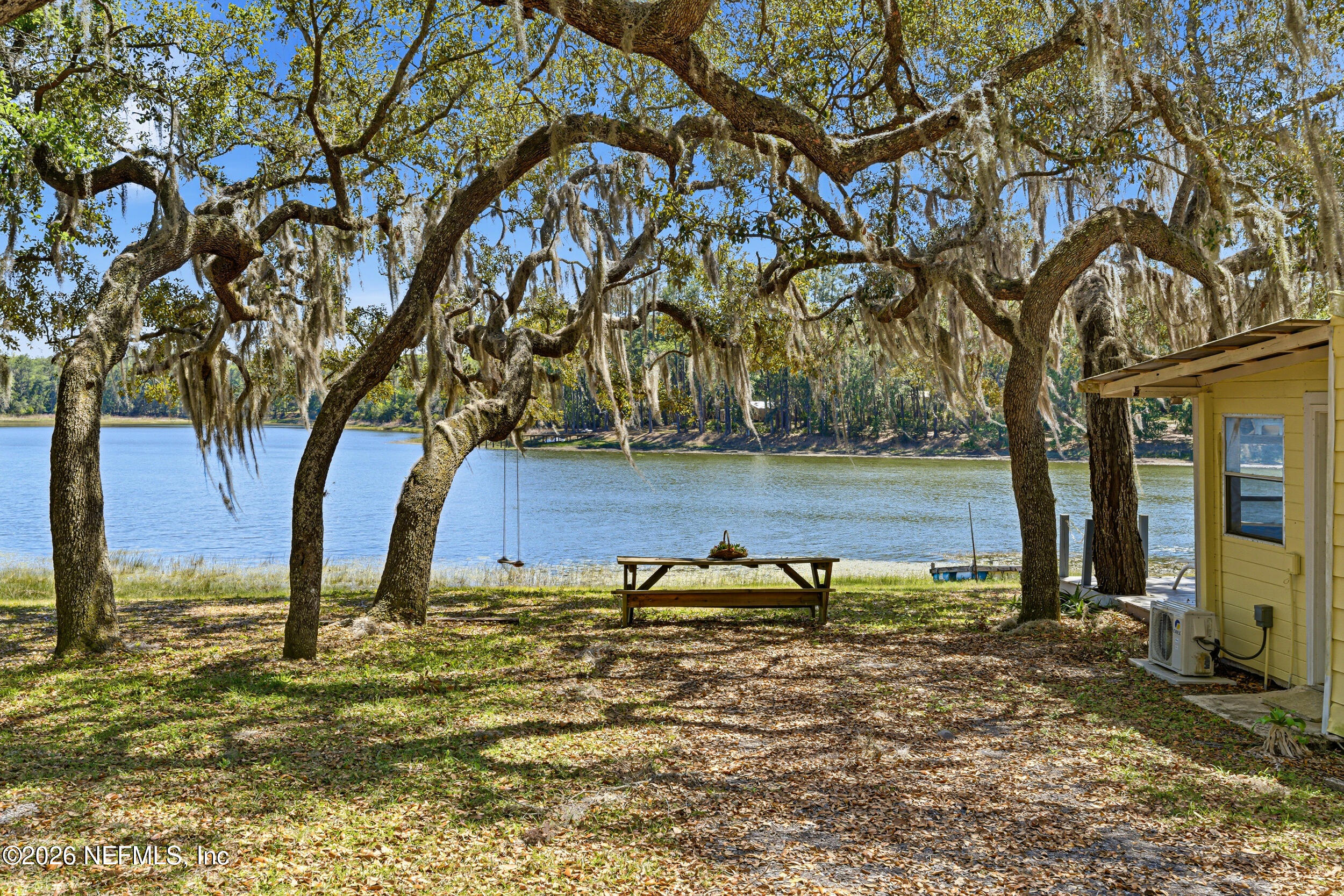 115 Lake Susan Road Hawthorne, FL 32640 - Photo 5 of 62 a view of a yard with an tree
