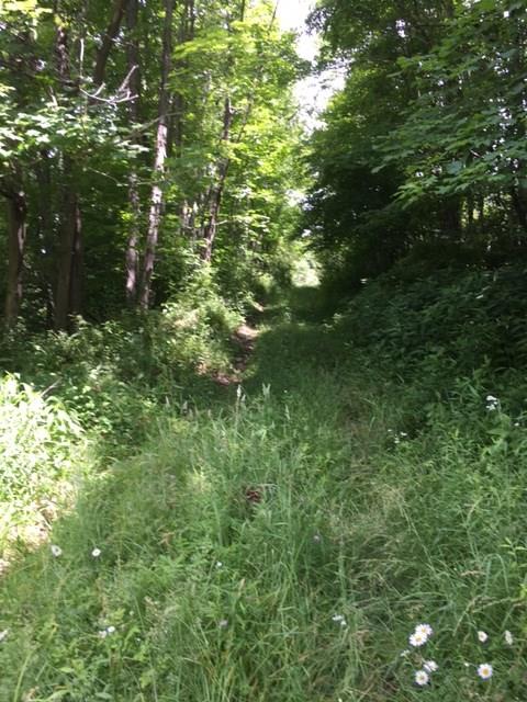0 Renner Creek Road New Freeport, PA 15352 - Photo 2 of 24 Gallery Image 2