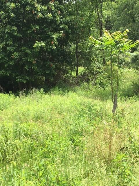 0 Renner Creek Road New Freeport, PA 15352 - Photo 11 of 24 Gallery Image 11