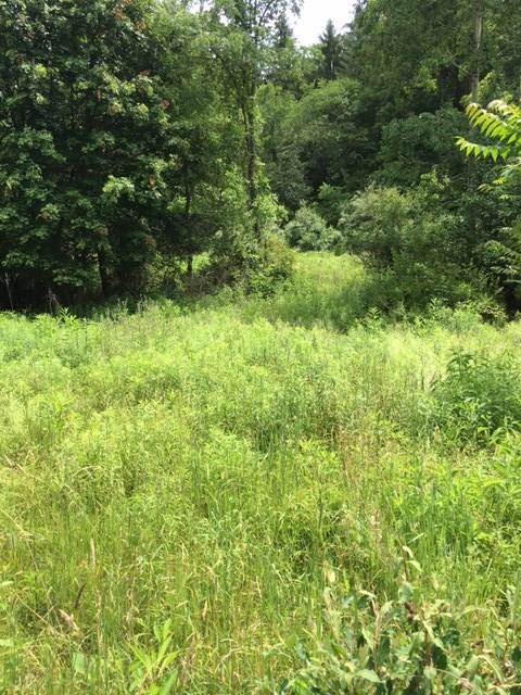 0 Renner Creek Road New Freeport, PA 15352 - Photo 13 of 24 Gallery Image 13