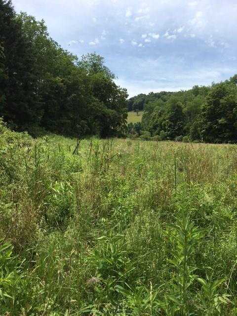 0 Renner Creek Road New Freeport, PA 15352 - Photo 14 of 24 Gallery Image 14