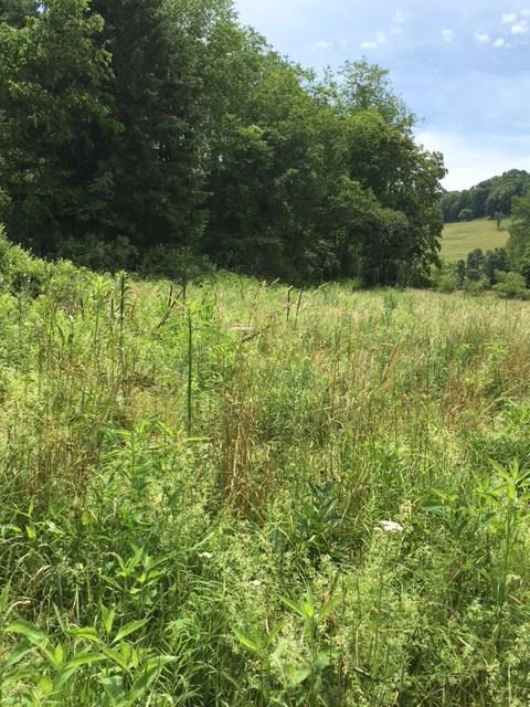 0 Renner Creek Road New Freeport, PA 15352 - Photo 16 of 24 Gallery Image 16