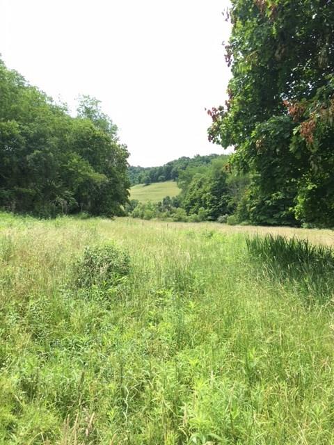 0 Renner Creek Road New Freeport, PA 15352 - Photo 18 of 24 Gallery Image 18