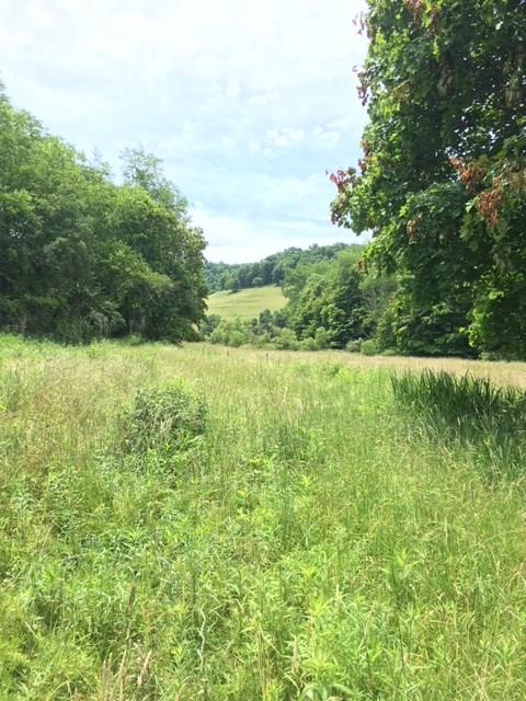 0 Renner Creek Road New Freeport, PA 15352 - Photo 19 of 24 Gallery Image 19