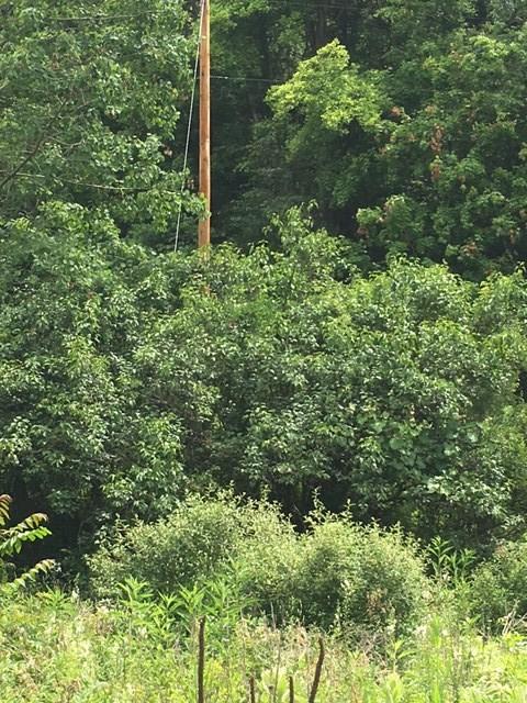 0 Renner Creek Road New Freeport, PA 15352 - Photo 20 of 24 Gallery Image 20