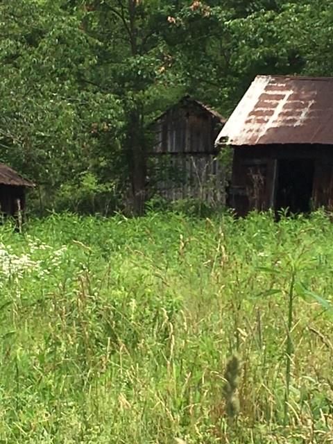 0 Renner Creek Road New Freeport, PA 15352 - Photo 21 of 24 Gallery Image 21