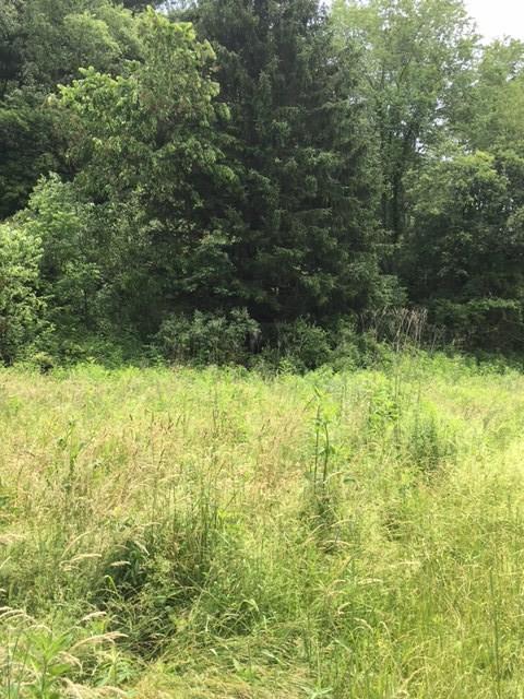 0 Renner Creek Road New Freeport, PA 15352 - Photo 22 of 24 Gallery Image 22