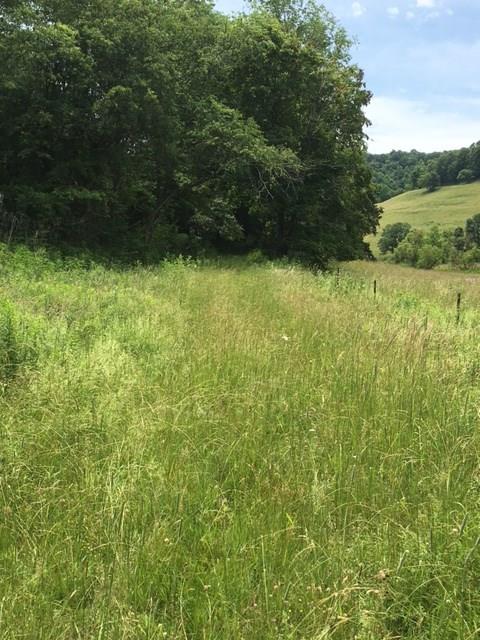 0 Renner Creek Road New Freeport, PA 15352 - Photo 23 of 24 Gallery Image 23
