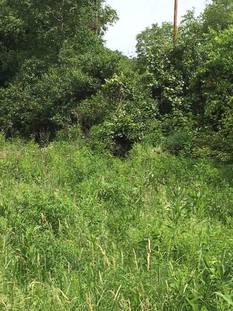 0 Renner Creek Road New Freeport, PA 15352 - Photo 5 of 24 Gallery Image 5