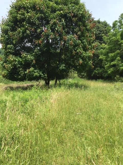 0 Renner Creek Road New Freeport, PA 15352 - Photo 6 of 24 Gallery Image 6