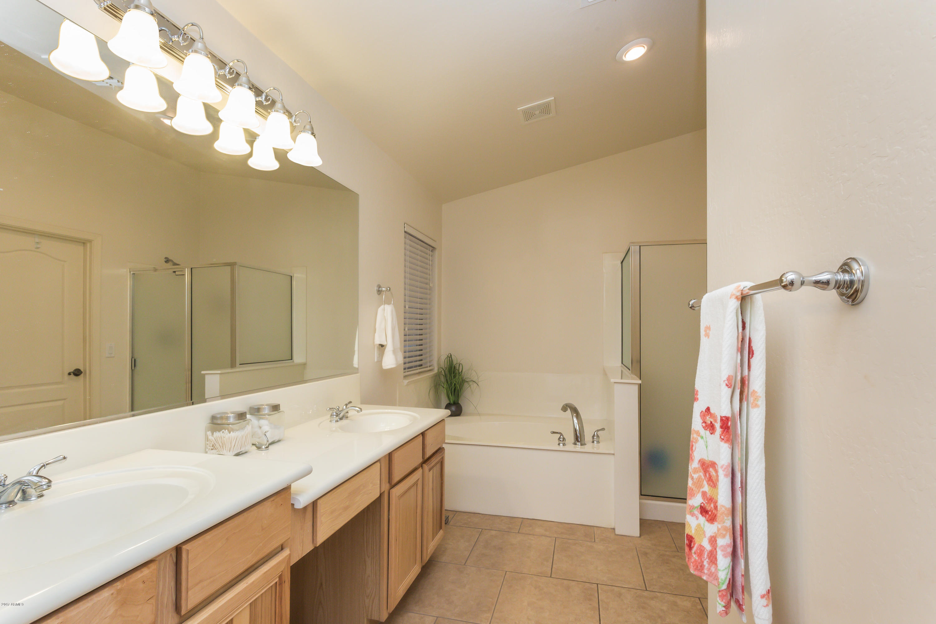 2012 West Caleb Road Phoenix, AZ 85085 - Photo 8 of 12 Master Bath