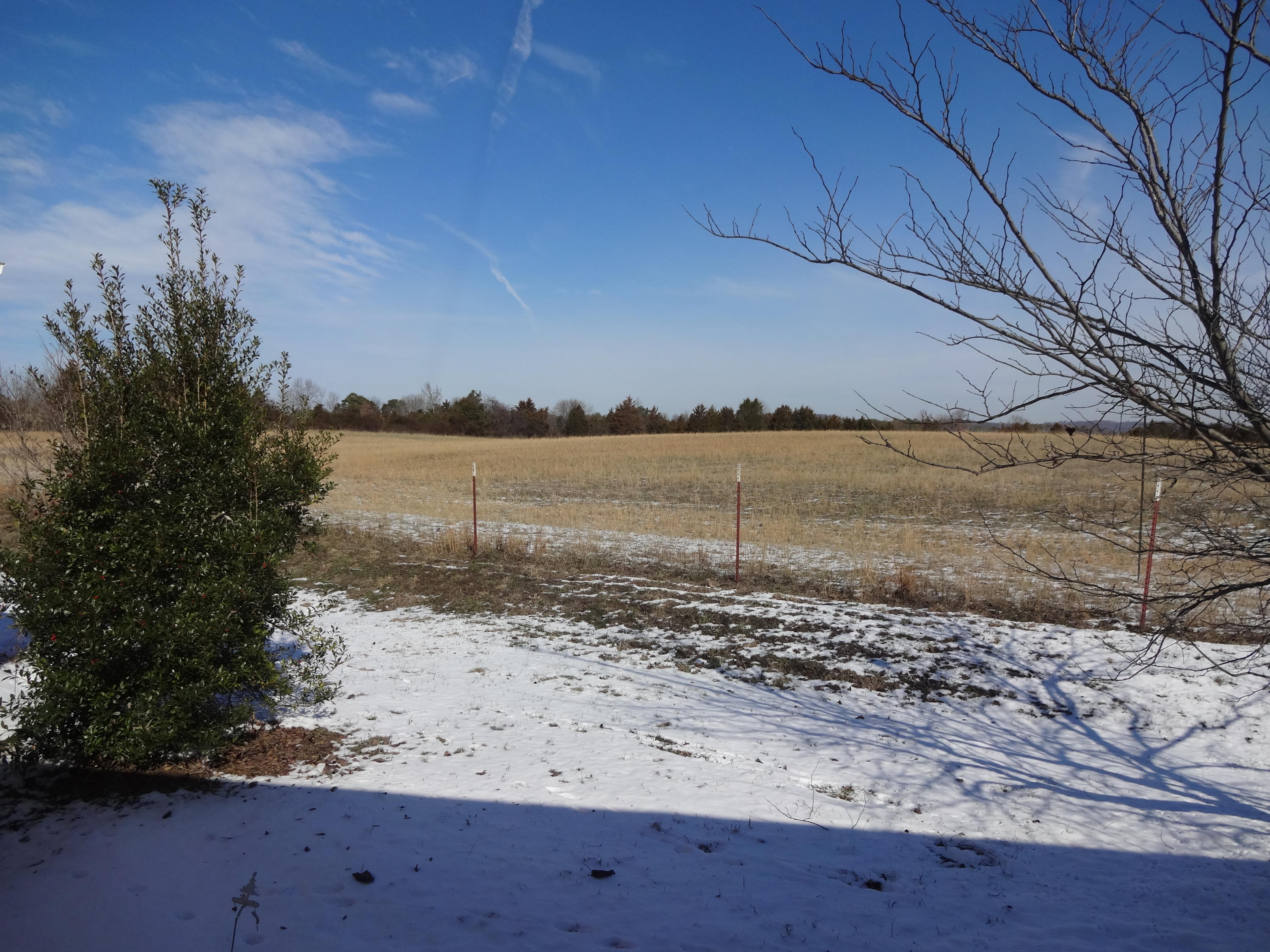 292 Angus Crossing Corryton, TN 37721 - Photo 12 of 25 Backyard view