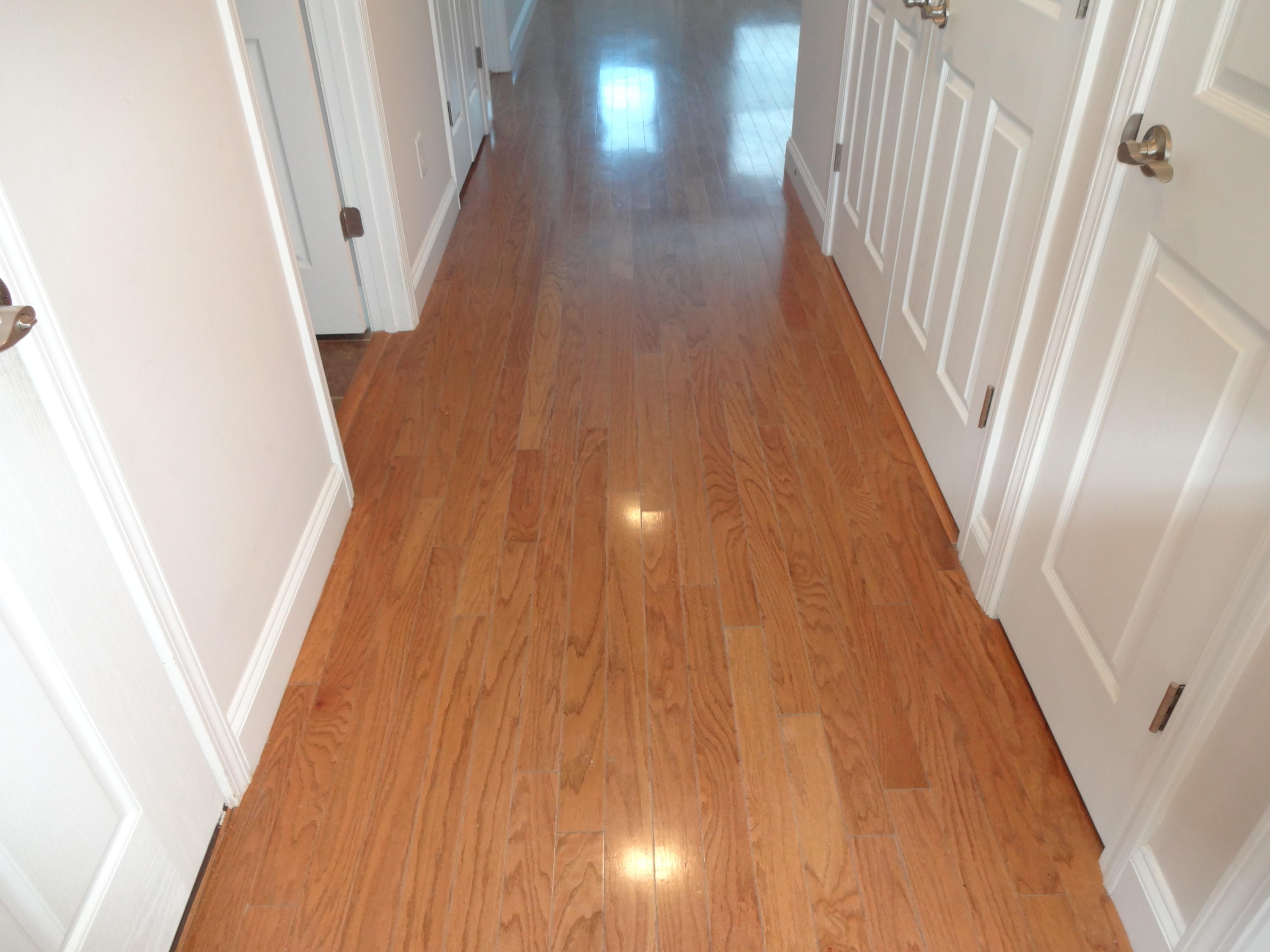 292 Angus Crossing Corryton, TN 37721 - Photo 13 of 25 Gleeming Hardwoods