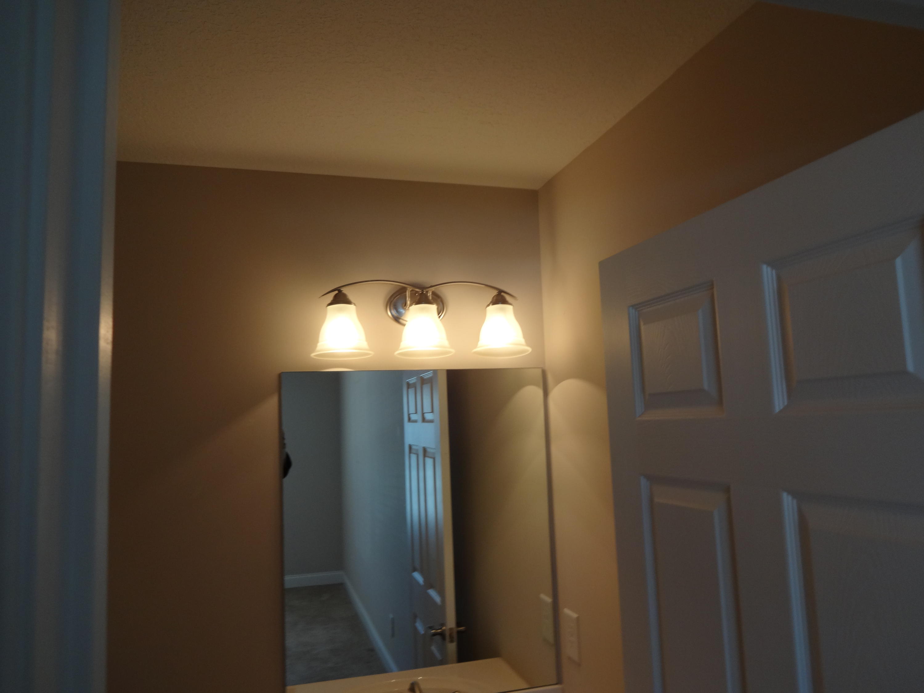 292 Angus Crossing Corryton, TN 37721 - Photo 19 of 25 Bathroom 2 Lighting