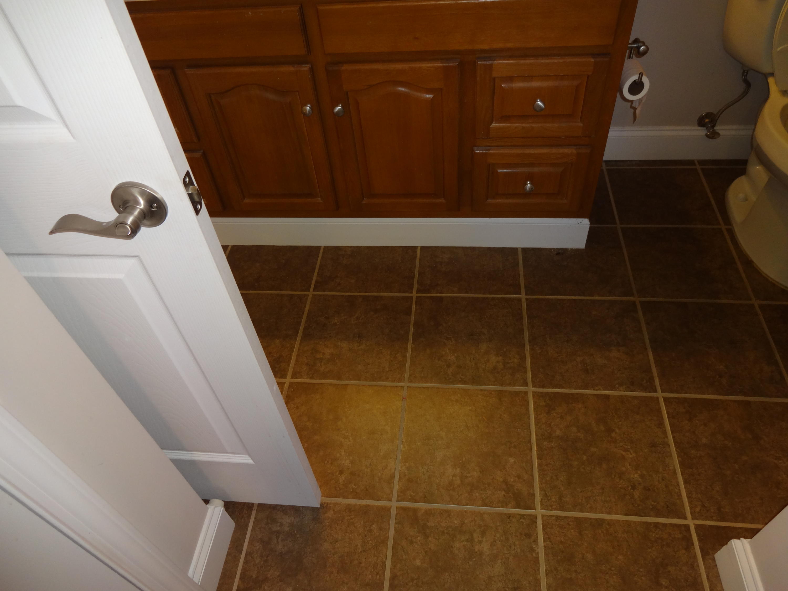 292 Angus Crossing Corryton, TN 37721 - Photo 8 of 25 Tiled Bathroom floors