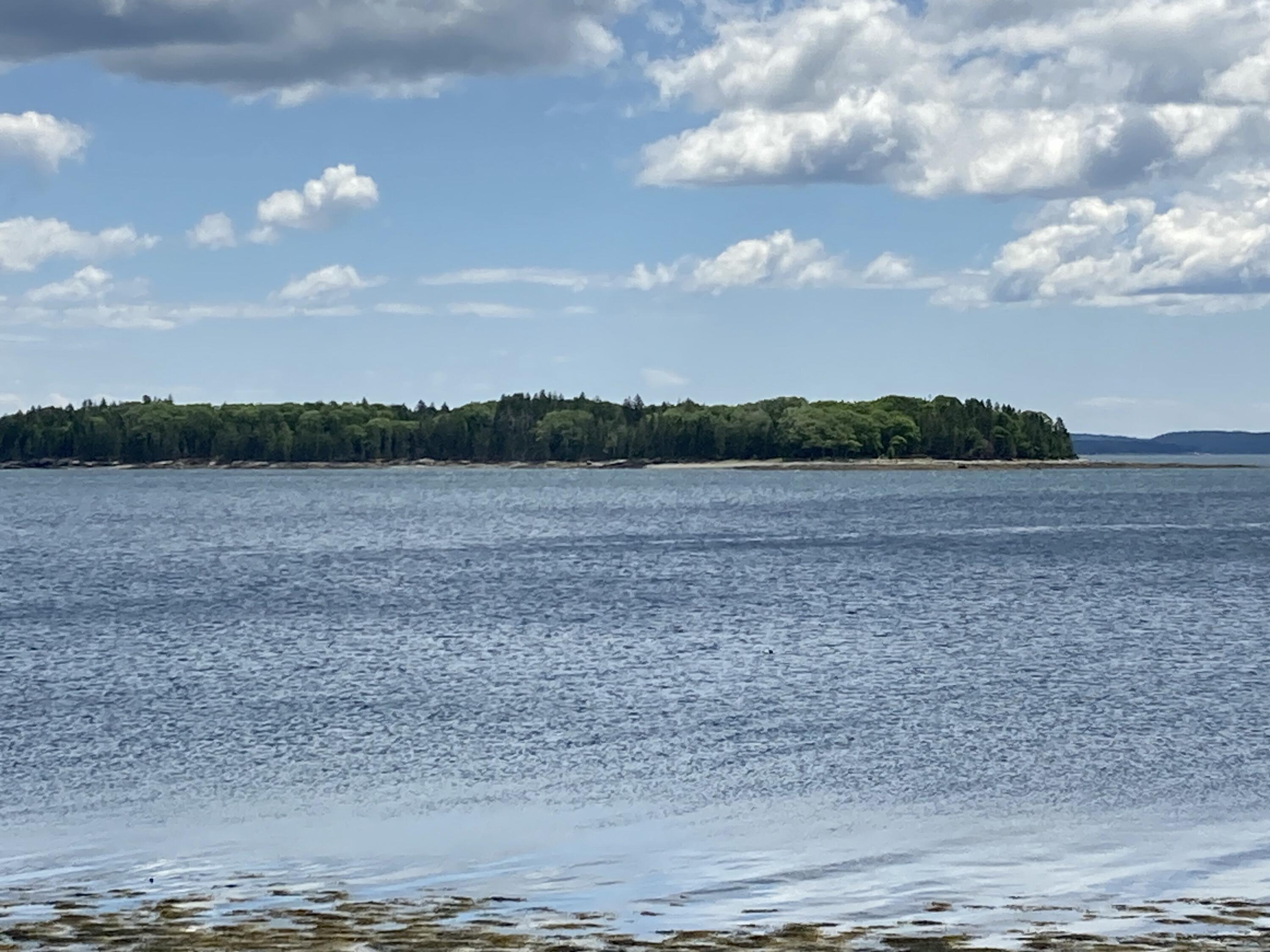 157 Jellison Cove Road Hancock, ME 04640 - Photo 28 of 39 South southeast to Bean Island.
