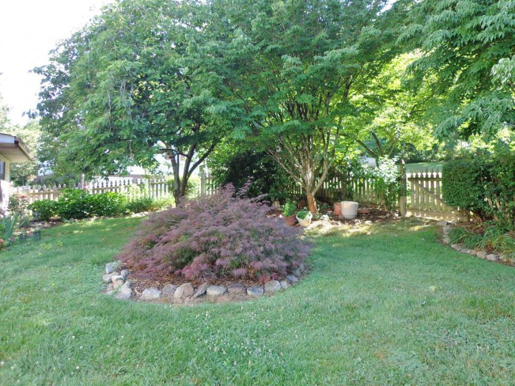 2016 Ridgefield Road Johnson City, TN 37601 - Photo 4 of 13 Photo 4