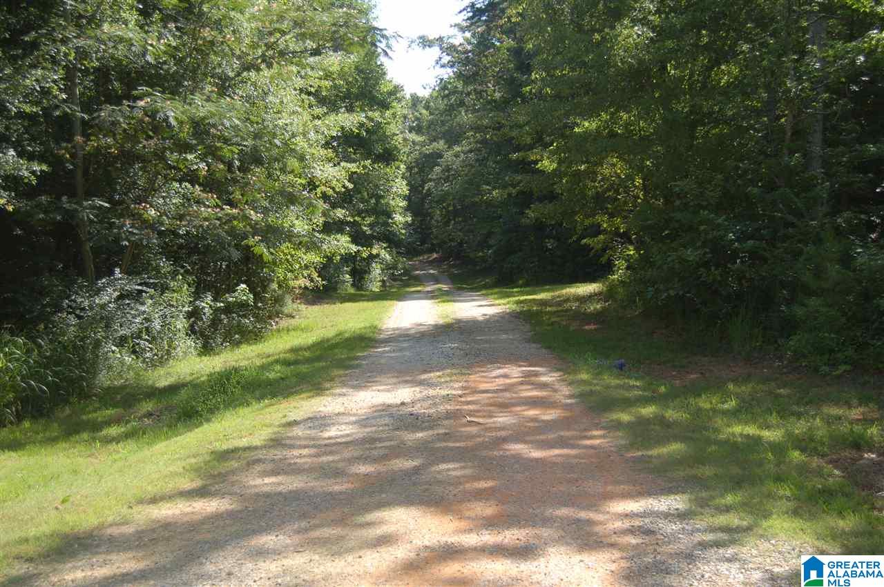 5 Highway Ac Al, Unit 96 23 Woodstock, AL 35188 - Photo 9 of 20
