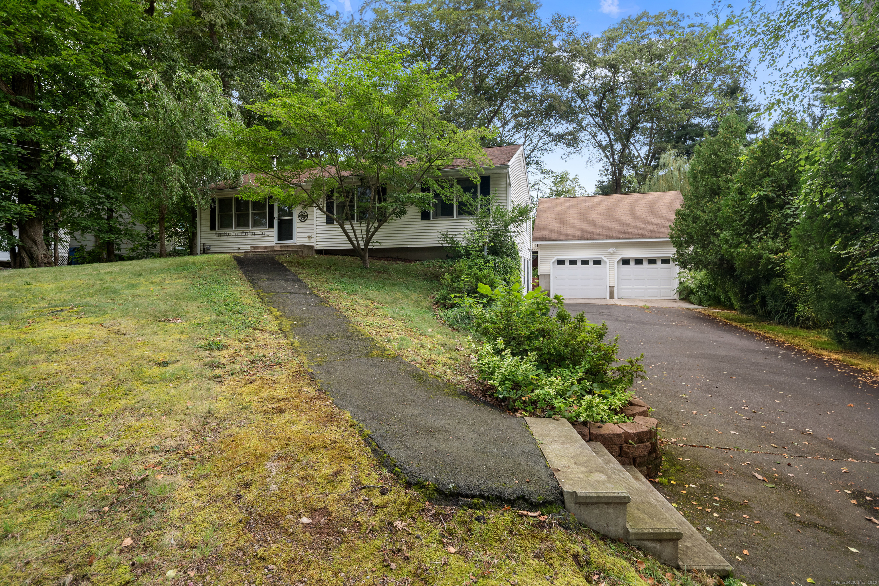a view of a yard with plants and trees