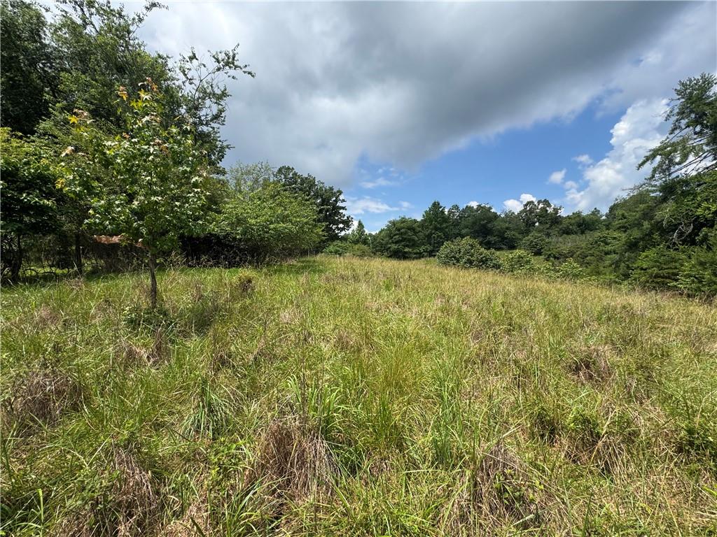 3.5-ac Ben Higgins Road Dahlonega, GA 30533 - Photo 3 of 21